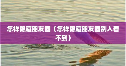 怎样隐藏朋友圈（怎样隐藏朋友圈别人看不到）