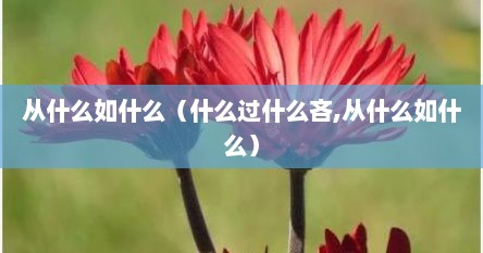 从什么如什么（什么过什么吝,从什么如什么）