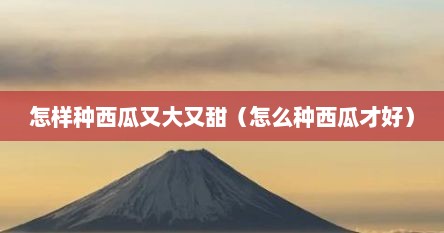 怎样种西瓜又大又甜（怎么种西瓜才好）