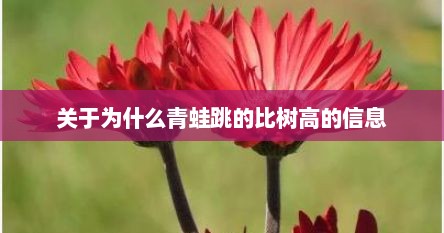 关于为什么青蛙跳的比树高的信息