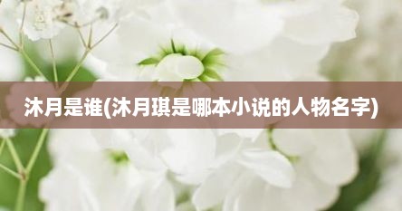 沐月是谁(沐月琪是哪本小说的人物名字)