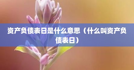 资产负债表日是什么意思（什么叫资产负债表日）