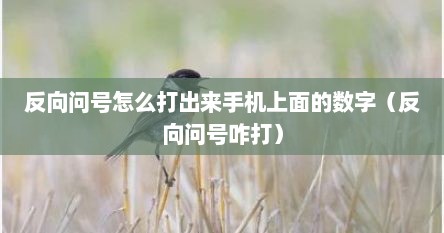 反向问号怎么打出来手机上面的数字（反向问号咋打）