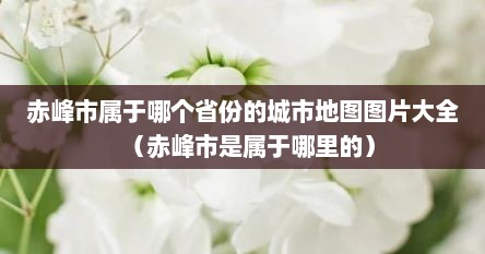 赤峰市属于哪个省份的城市地图图片大全（赤峰市是属于哪里的）