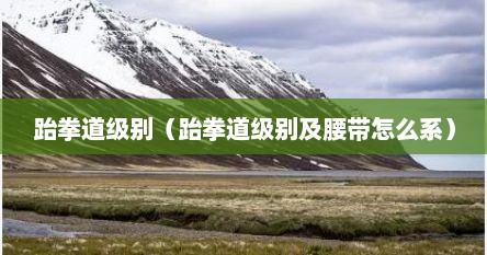跆拳道级位划分及腰带含义（跆拳道级别及腰带颜色段位）
