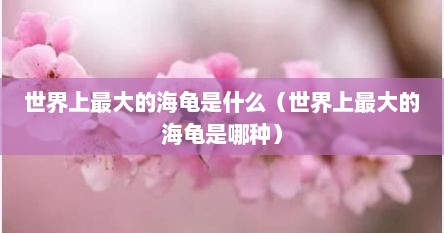 世界上最大的海龟是什么（世界上最大的海龟是哪种）