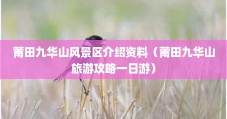 莆田九华山风景区介绍资料（莆田九华山旅游攻略一日游）