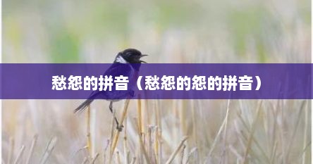 愁怨的拼音（愁怨的怨的拼音）