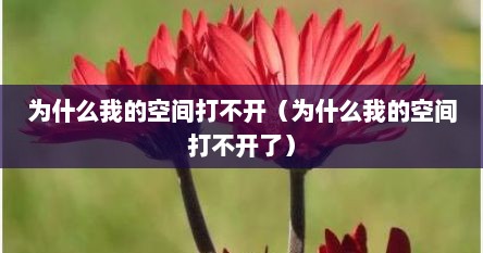 为什么我的空间打不开（为什么我的空间打不开了）