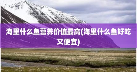 海里什么鱼营养价值最高(海里什么鱼好吃又便宜)