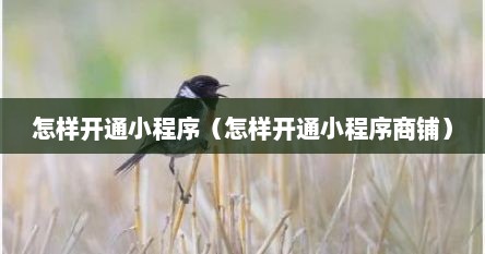 怎样开通小程序（怎样开通小程序商铺）