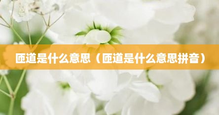 匝道是什么意思（匝道是什么意思拼音）
