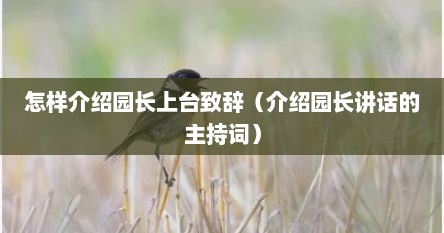 怎样介绍园长上台致辞（介绍园长讲话的主持词）
