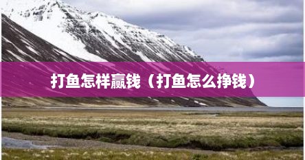 打鱼怎样赢钱（打鱼怎么挣钱）