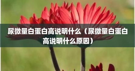尿微量白蛋白高说明什么（尿微量白蛋白高说明什么原因）