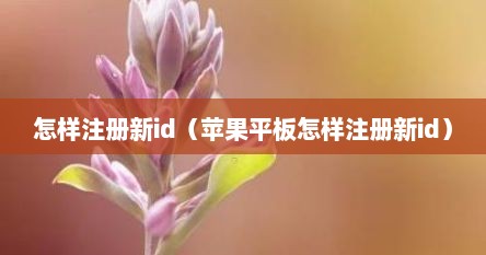 怎样注册新id（苹果平板怎样注册新id）