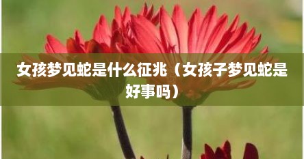 女孩梦见蛇是什么征兆（女孩子梦见蛇是好事吗）