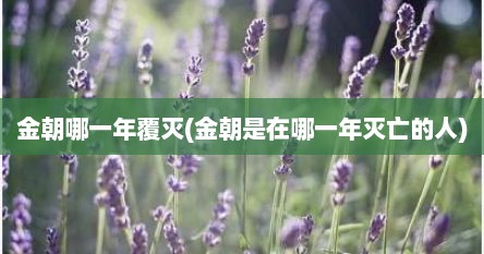 金朝哪一年覆灭(金朝是在哪一年灭亡的人)