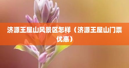 济源王屋山风景区怎样（济源王屋山门票优惠）