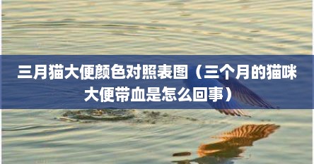 三月猫大便颜色对照表图（三个月的猫咪大便带血是怎么回事）
