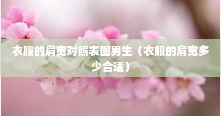 衣服的肩宽对照表图男生（衣服的肩宽多少合适）