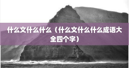 什么文什么什么（什么文什么什么成语大全四个字）