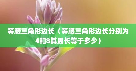 等腰三角形边长（等腰三角形边长分别为4和8其周长等于多少）