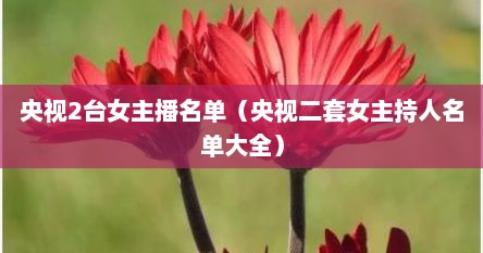 央视2台女主播名单（央视二套女主持人名单大全）