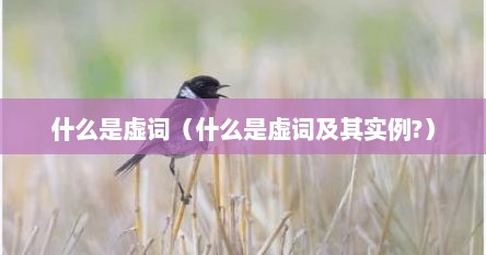 什么是虚词（什么是虚词及其实例?）