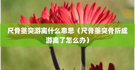 尺骨茎突游离什么意思（尺骨茎突骨折成游离了怎么办）