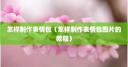 怎样制作表情包（怎样制作表情包图片的教程）