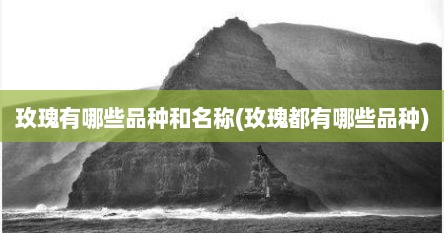玫瑰有哪些品种和名称(玫瑰都有哪些品种)