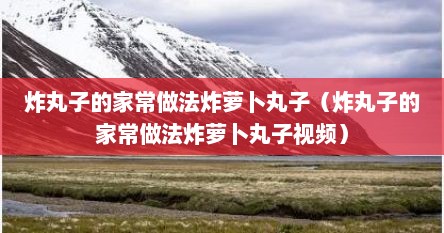 炸丸子的家常做法炸萝卜丸子（炸丸子的家常做法炸萝卜丸子视频）