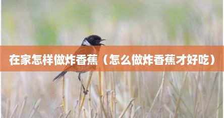 在家怎样做炸香蕉（怎么做炸香蕉才好吃）