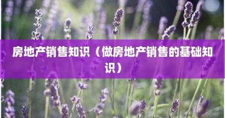房地产销售知识（做房地产销售的基础知识）