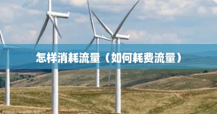 怎样消耗流量（如何耗费流量）