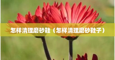 怎样清理磨砂鞋（怎样清理磨砂鞋子）