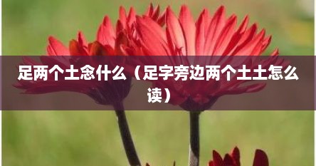 足字旁一个两个土念什么字（足字旁加两个土念啥）