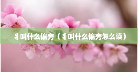 丬叫什么偏旁（丬叫什么偏旁怎么读）