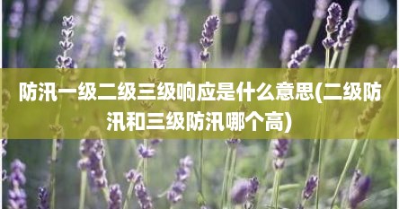 防汛一级二级三级响应是什么意思(二级防汛和三级防汛哪个高)