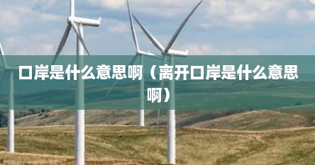 口岸是什么意思啊（离开口岸是什么意思啊）