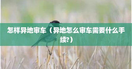 怎样异地审车（异地怎么审车需要什么手续?）