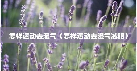怎样运动去湿气（怎样运动去湿气减肥）