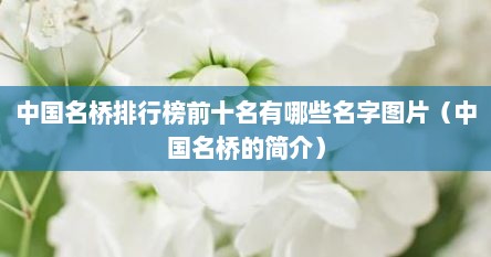 中国名桥排行榜前十名（中国十大名桥的美观）