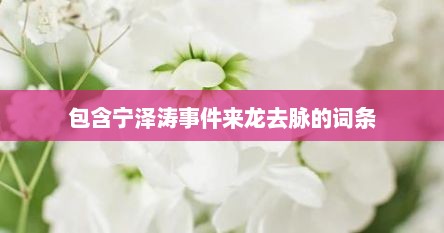 包含宁泽涛事件莱龙去脉的词条