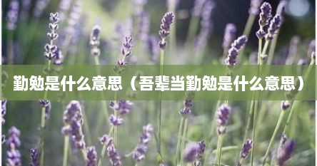 吾辈必当勤勉为主题演讲稿（吾辈毕当勤勉）