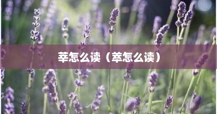 莘怎么读（萃怎么读）
