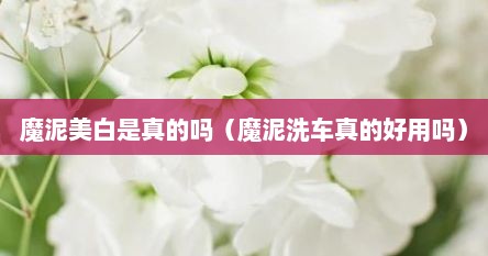 魔泥美白是真的吗（魔泥洗车真的好用吗）
