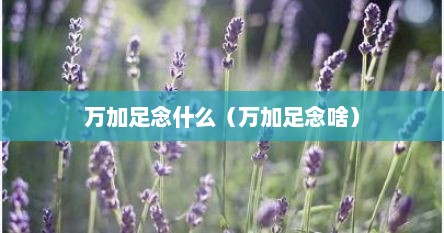 万加足念什么（万加足念啥）