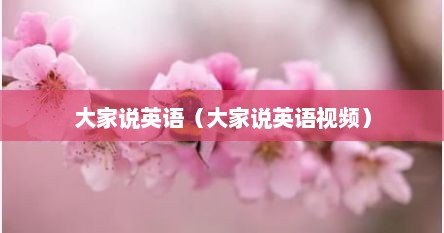大家说英语（大家说英语视频）